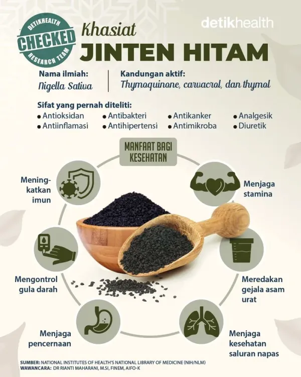 infografis jinten hitam - ginkgo biloba