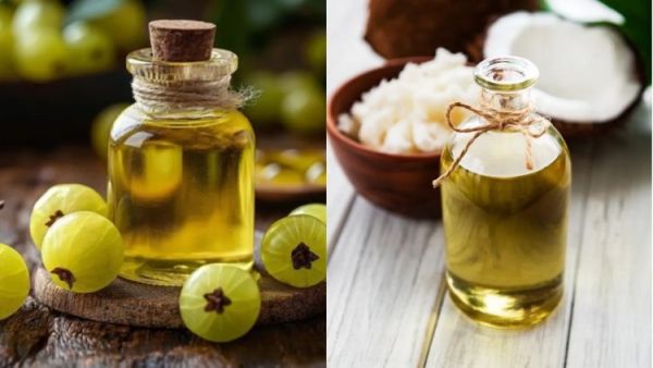 amla oil vs coconut oil which is best 1743074899293