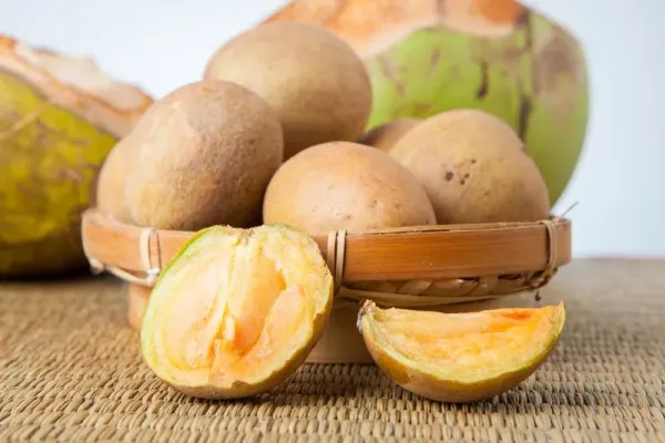 Ilustrasi manfaat buah sawo