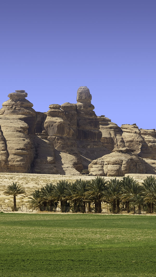 AlUla : A Desert Paradise!