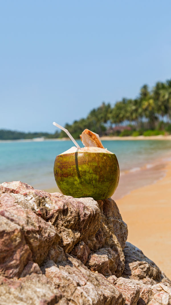 Coconut Nutrition Facts