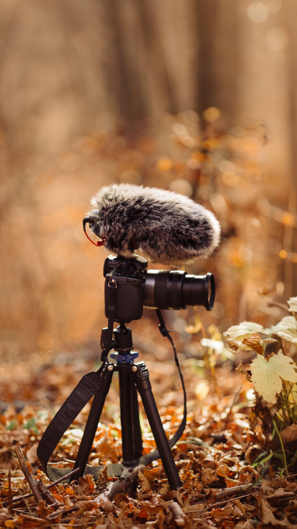 Choose Your Camera