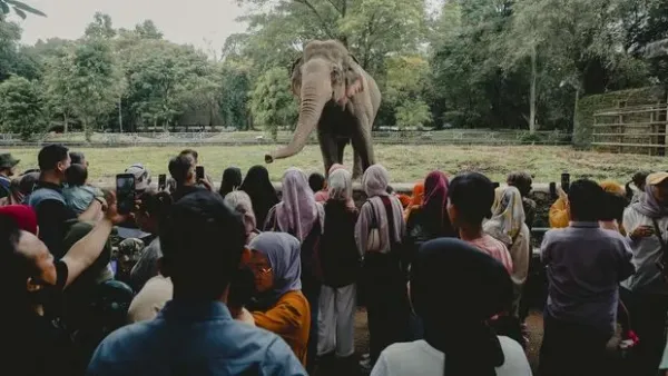 Taman Margasatwa Ragunan, Jakarta Selatan, menambah jam operasional selama libur Lebaran 1446 Hijriah. <div class=