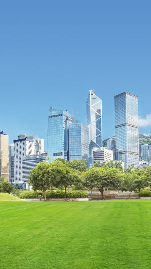Hong Kong Unlocked