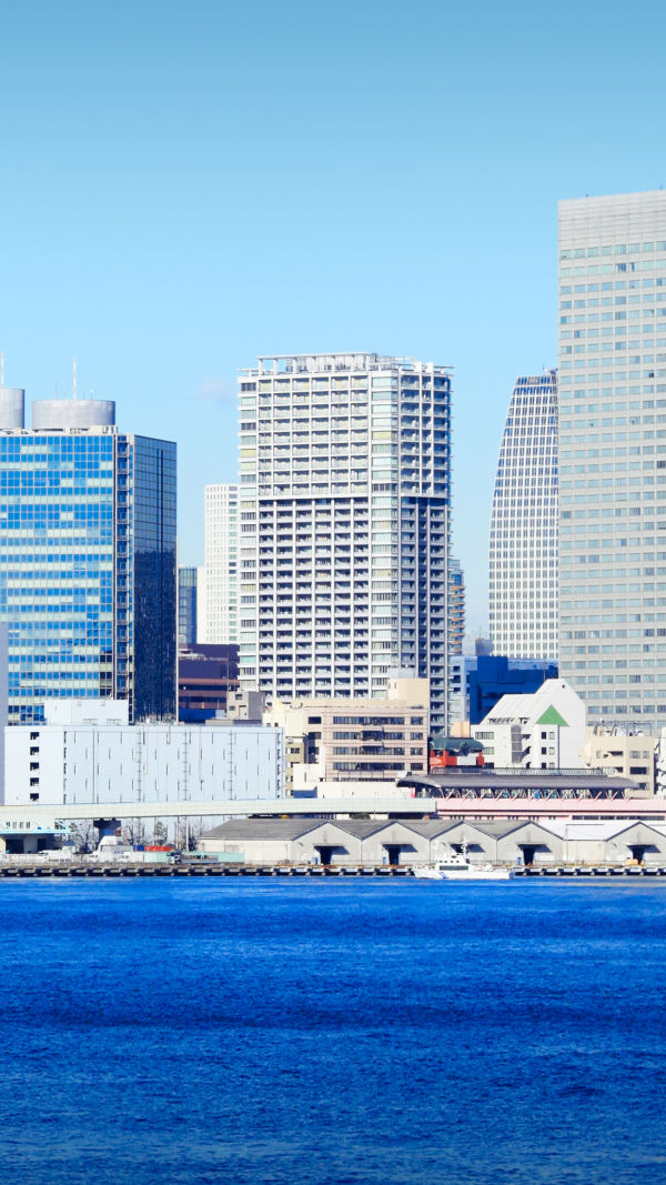 Tokyo: Shop Till You Drop!