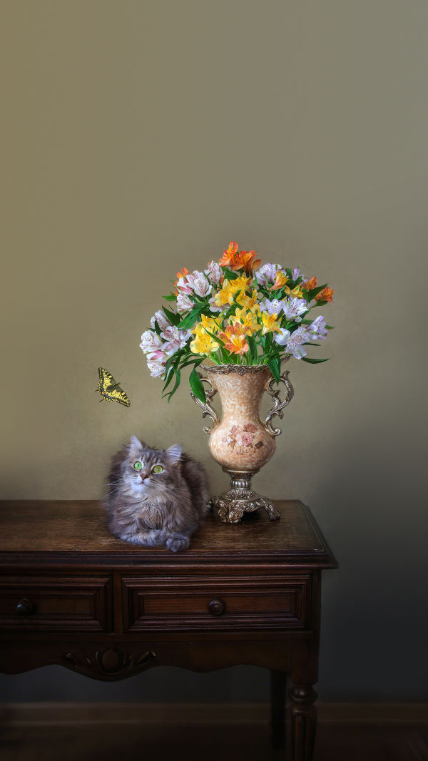 Safe Plants for Cats