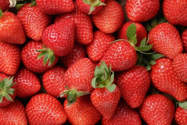 Penistaan! Nasi Biryani Ini Diberi Topping Buah Strawberry