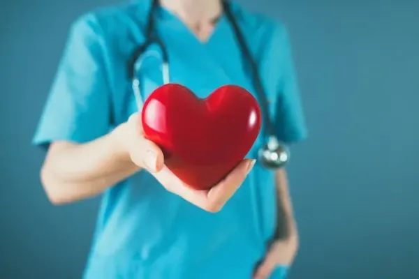Heart Shape, Hand, Hospital, Human Hand, Laboratory