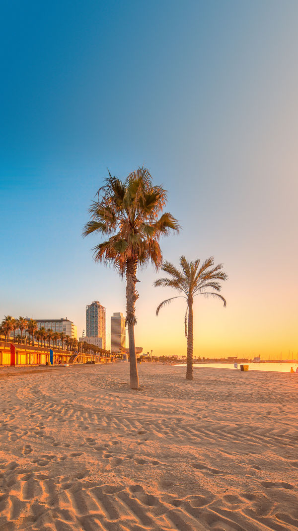 Travel Tips for Barcelona