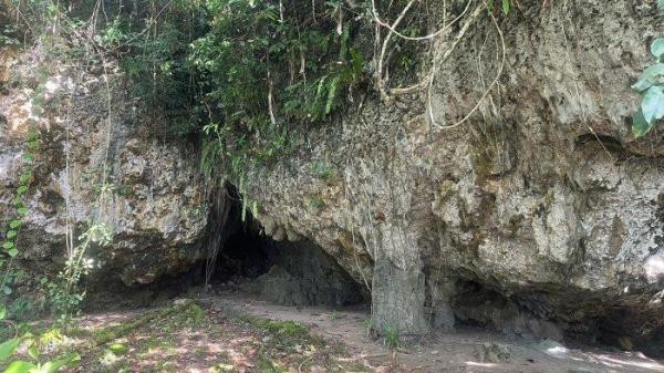 WISATA: Gua Larenggam menjadi simbol perlawanan dan saksi bisu kekejaman penjajah Kolonialisme Belanda. Gua ini terletak di Desa Arangkaa, Kecamatan Gemeh, Kabupaten Talaud, Foto diambil oleh Tribunmanado.co.id pada Rabu (9/4/2025).