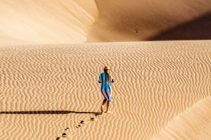 Desert Fury: Ride the Sands