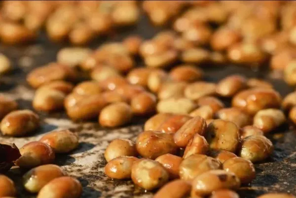 Coffee Honey Process