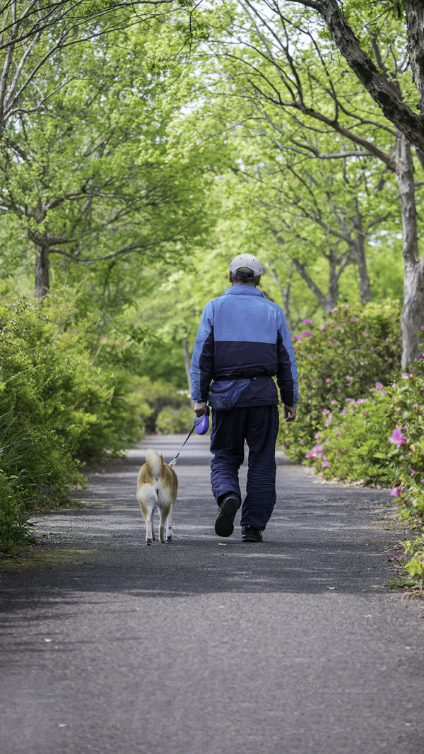 Pet Benefits for Seniors