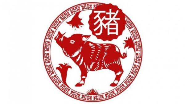 RAMALAN SHIO BABI