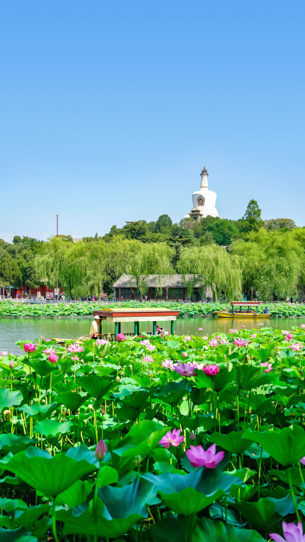 Wander Beihai Park