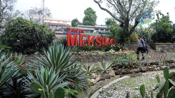 Menjadi salah satu spot foto unik dan Instagramable di kawasan Kebun Raya Bogor Foto: Helinsa Rasputri/kumparan