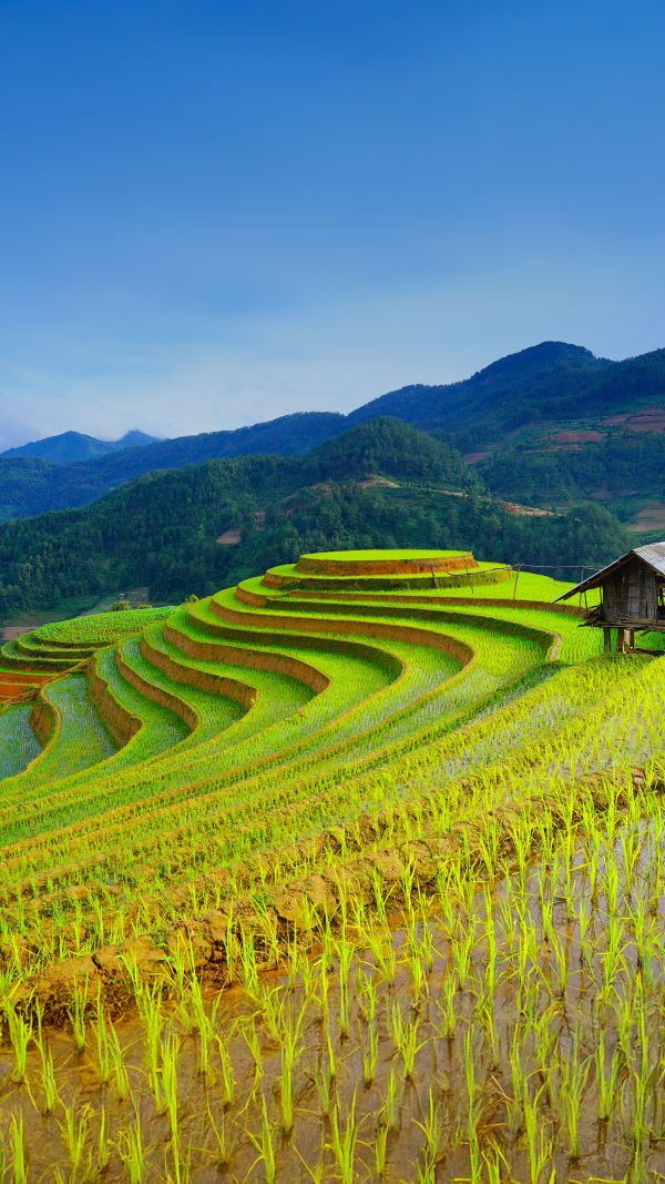 Vietnam’ Best Travel Seasons