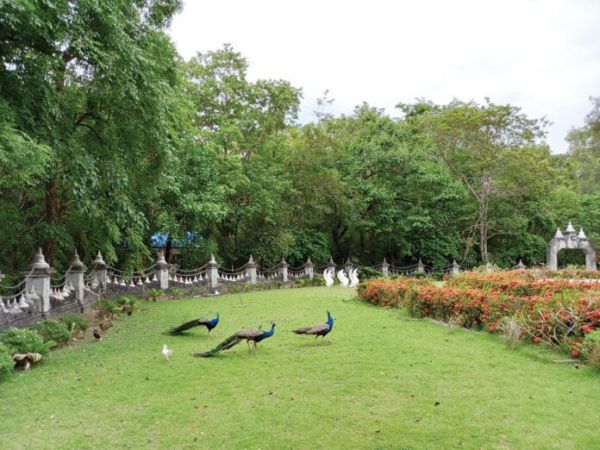 เที่ยววัดวันหยุด - เยือน‘วัดประชาคมวนาราม’ ไหว้‘มหาเจดีย์หินบุโรพุทโธ’