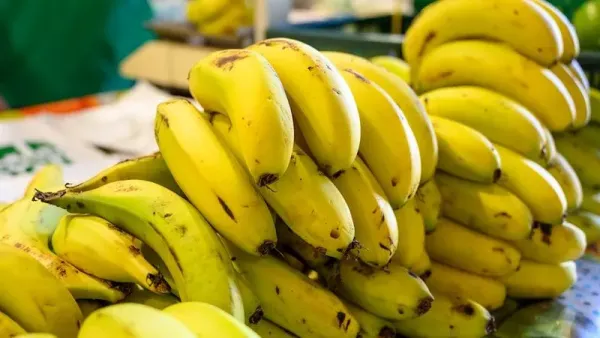 7 Jenis Pisang Terbaik di Dunia, Ada yang Populer di Indonesia!