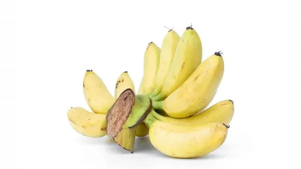 7 Jenis Pisang Terbaik di Dunia, Ada yang Populer di Indonesia!