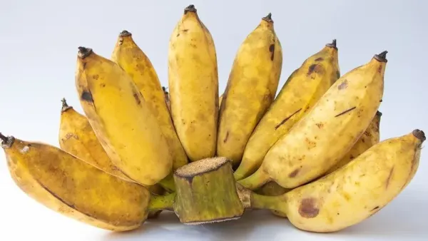 7 Jenis Pisang Terbaik di Dunia, Ada yang Populer di Indonesia!