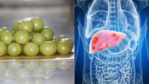 amla and liver 1745652354