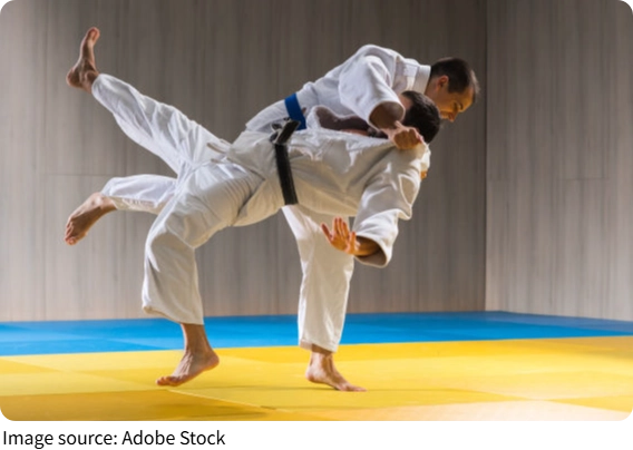 Đá bay của Taekwondo