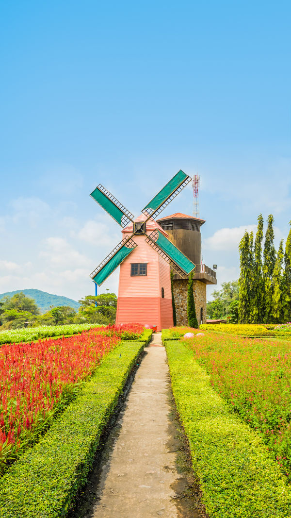 Timeless Dutch Windmills