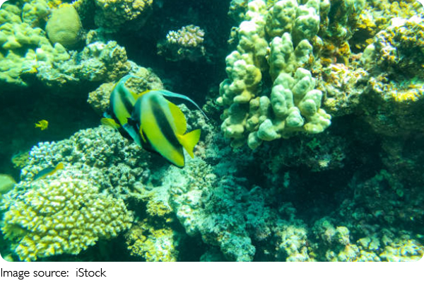 Piscinas misteriosas