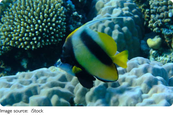 Piscinas misteriosas