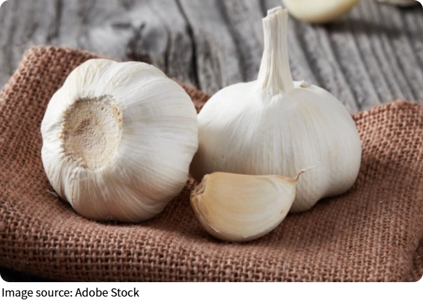 Natural Antibiotics