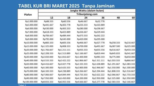 PINJAMAN KUR BRI - tabel angsuran KUR BRI 2025