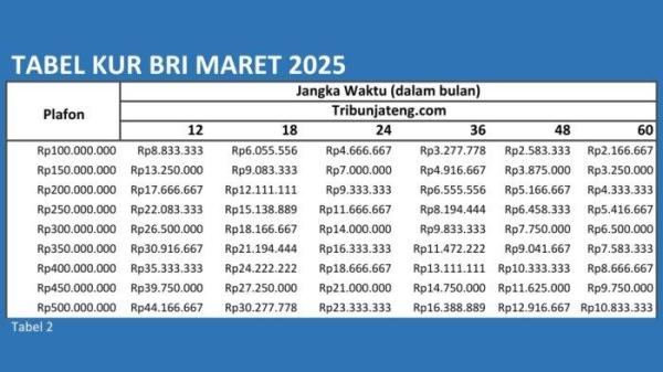 PINJAMAN KUR BRI - tabel angsuran KUR BRI 2025 Rp 100 Juta - Rp 500 Juta