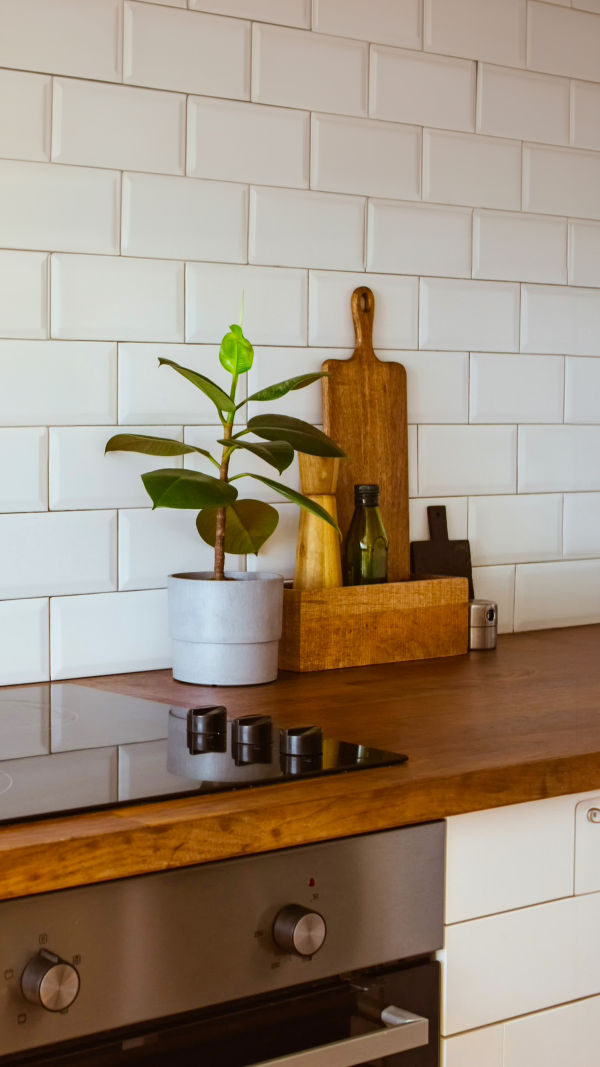 Plantas na cozinha