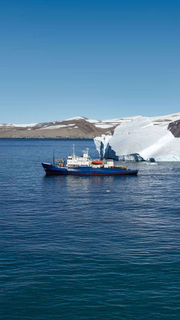 Antarctica Cruise Guide