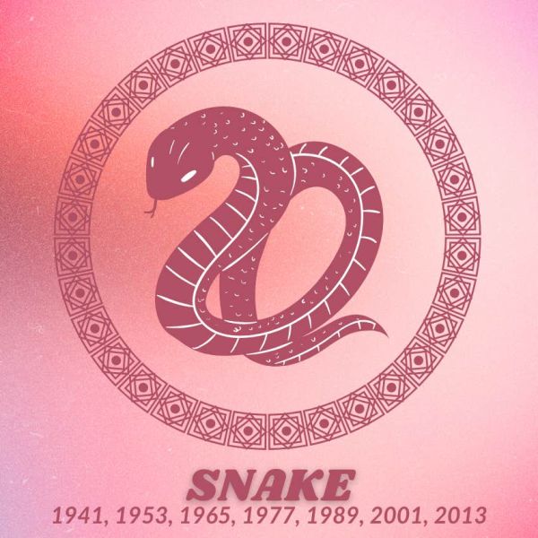 snake chinese zodiac signs luck abundance may 7 2025