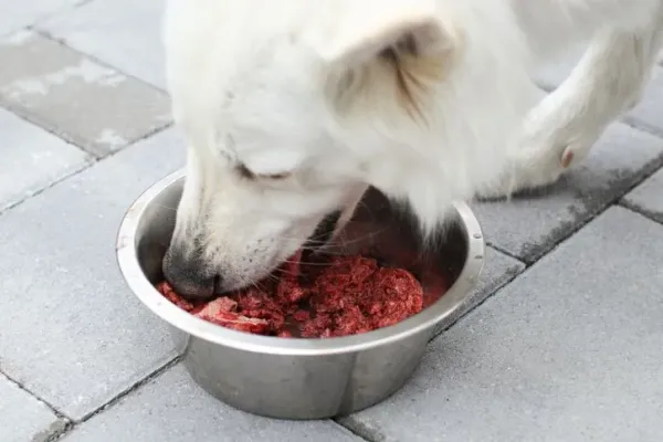 Kios Ini Dikecam Karena Jual Daging Anjing, Ternyata karena Alasan Ini