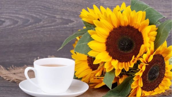 SunflowerTea 1746861467926
