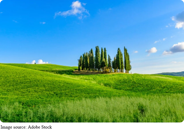 Toscane rêvée