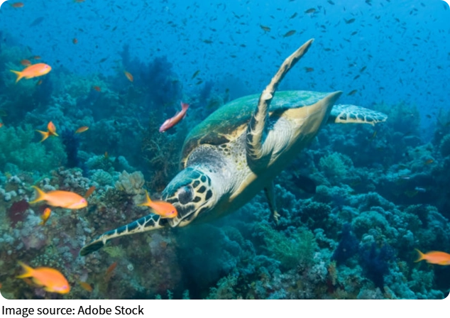 Город под водой