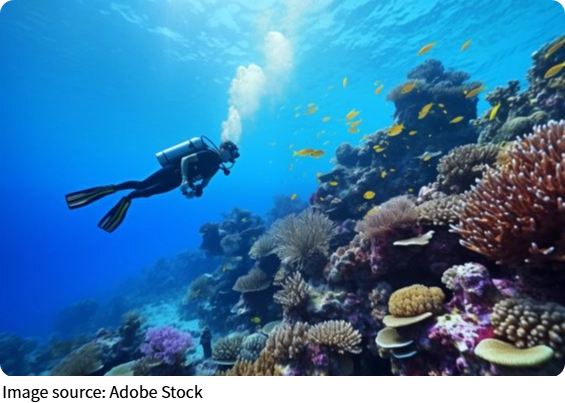 Consejos de Buceo