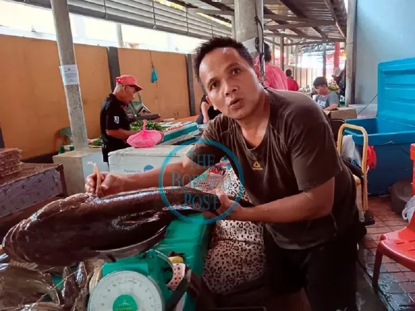 Wow! Ikan Betutu 7,2 Kg yang Kian Langka Harganya Bisa Rp 5,5 Juta