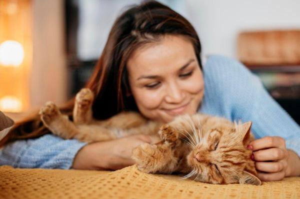 BAHASA KUCING - Foto ilustrasi kucing yang diambil dari Freepik pada 20 Maret 2025. Pelajari 12 tanda bahwa kucing Anda menyayangi Anda. Dari berkedip lambat hingga tidur di dekat Anda.