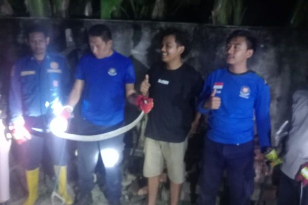 Evakuasi Ular kobra dilakukan Damkartan Sumbawa. Lihat Foto Evakuasi Ular kobra dilakukan Damkartan Sumbawa.