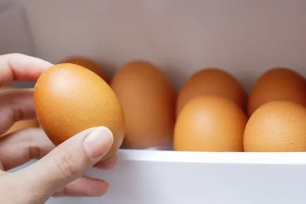 cara menyimpan telur yang tepat agar terhindar salmonela