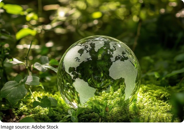 Le mystère du co2