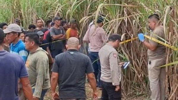 PENEMUAN JASAD WANITA - Petugas INAFIS Polres Ogan Ilir dibantu warga mengevakuasi jasad yang ditemukan di perkebunan tebu wilayah Desa Seri Bandung, Minggu (18/5/2025). Belum diketahui penyebab kematian wanita tersebut.