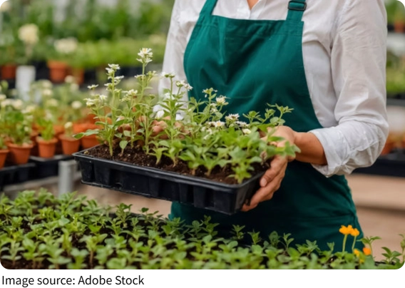 Earth's Silent Struggle