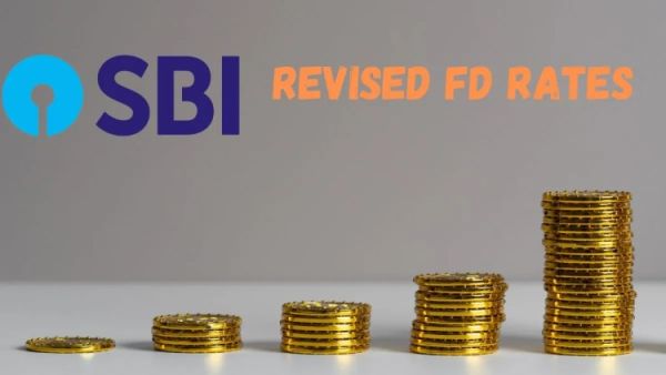 SBI new FD rates 1747733743733