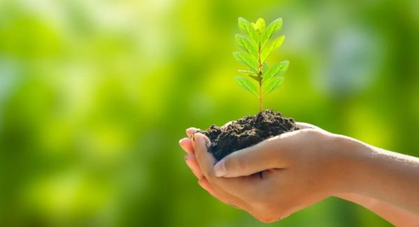 ecofriendly 1747982754895